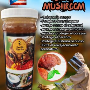 Miel con Reishi Mushroom